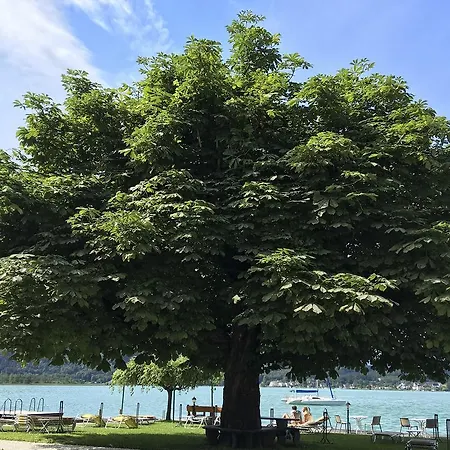 Strandhotel Kaerntnerhof Hotel Pörtschach am Wörthersee